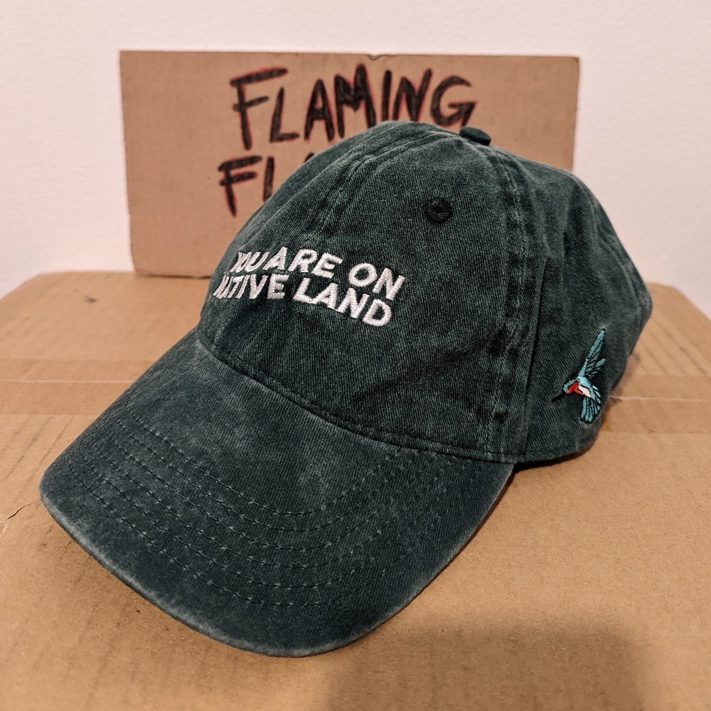 Dark Green Urban Native Era You Are On Native Land Dad Cap